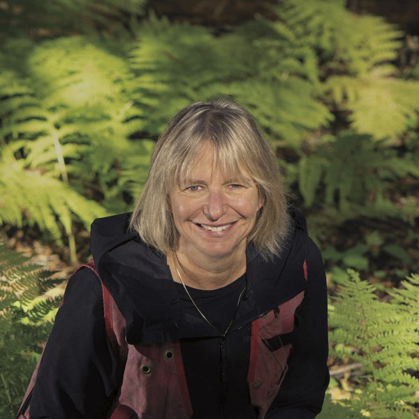 When the Forest Breathes