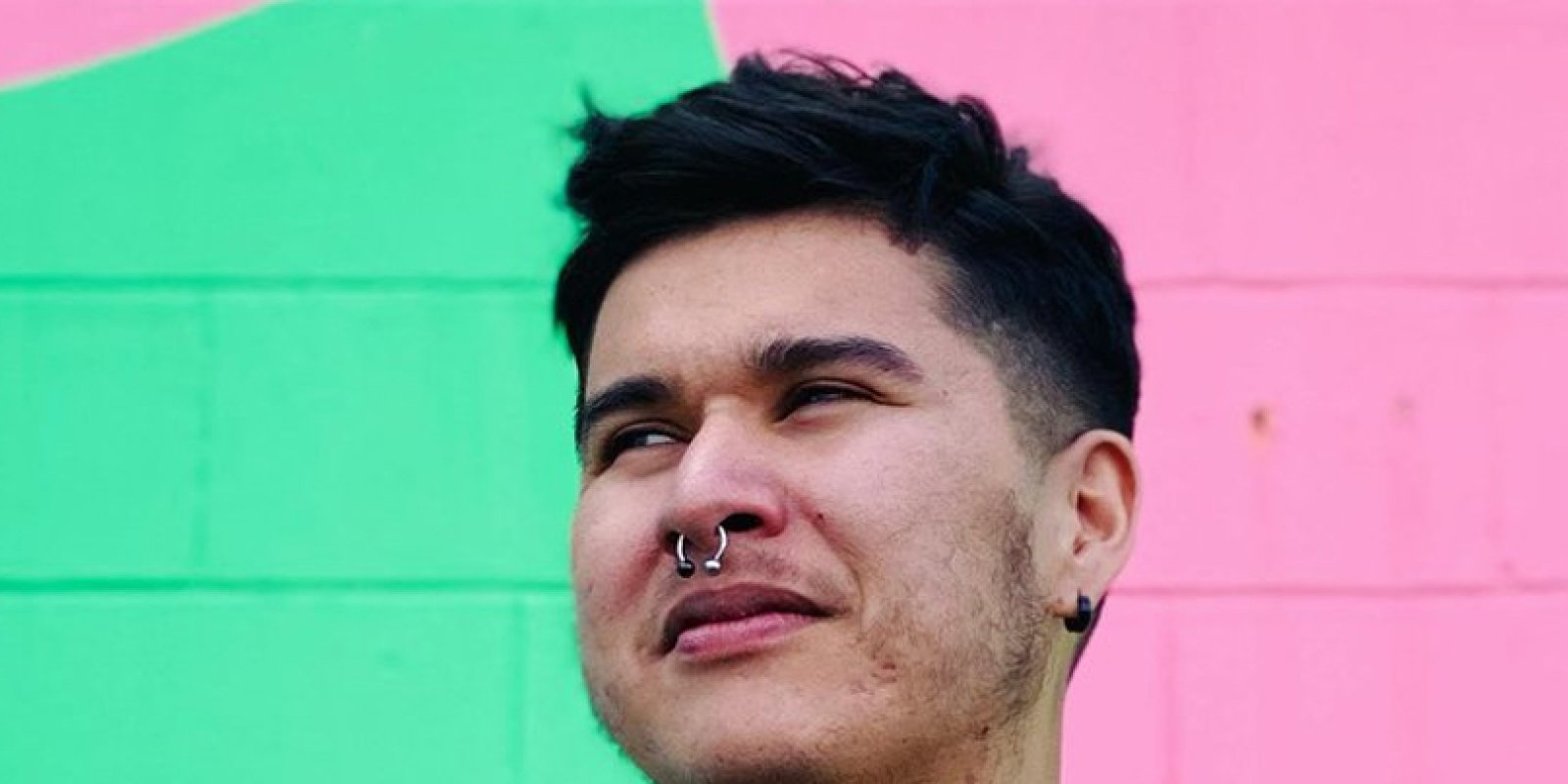 A History of My Brief Body